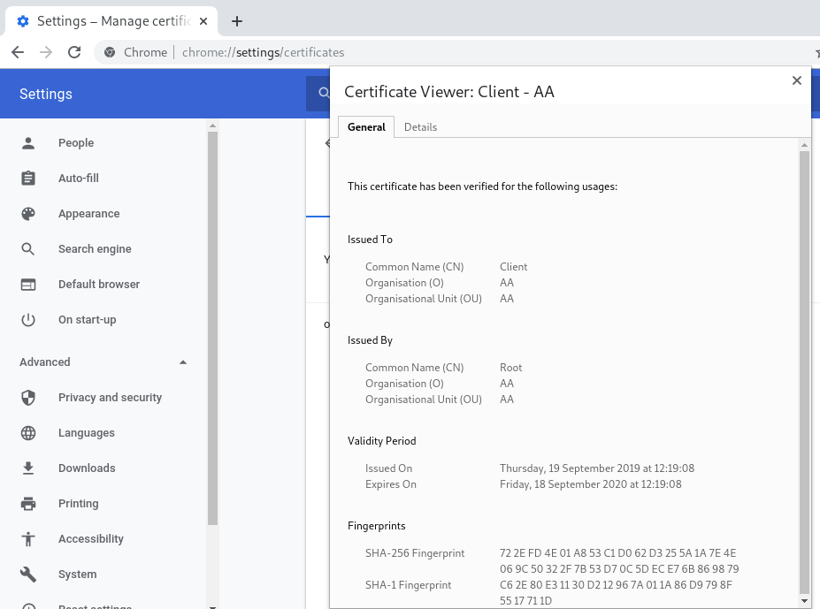 Import SSL Cert - Chrome 3