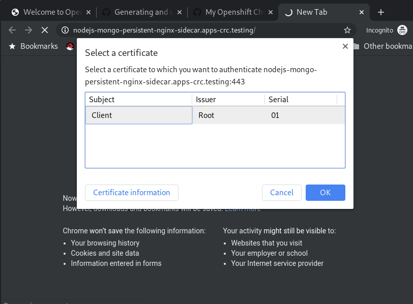 Import SSL Cert - Chrome 4